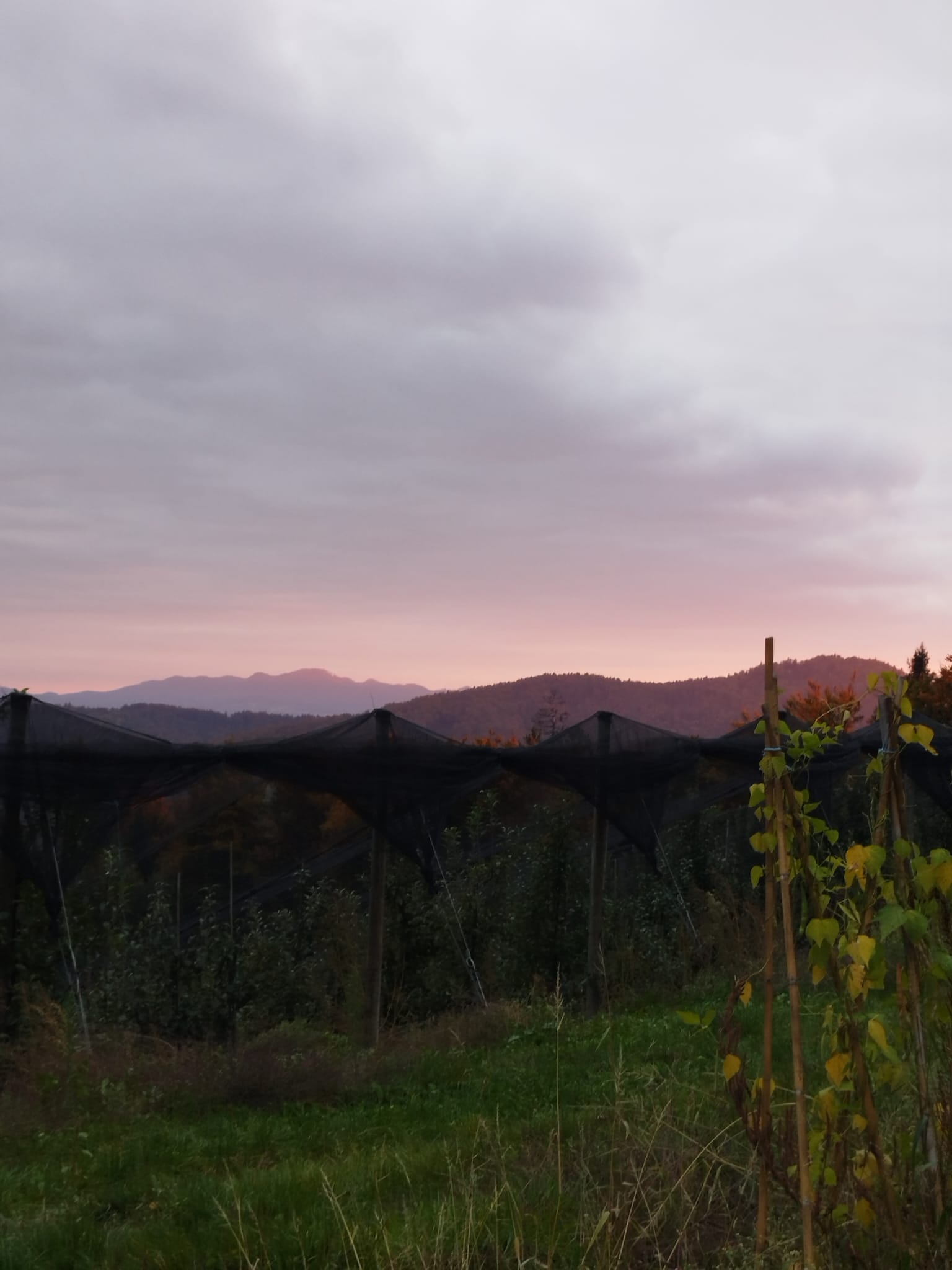Farm Landscape